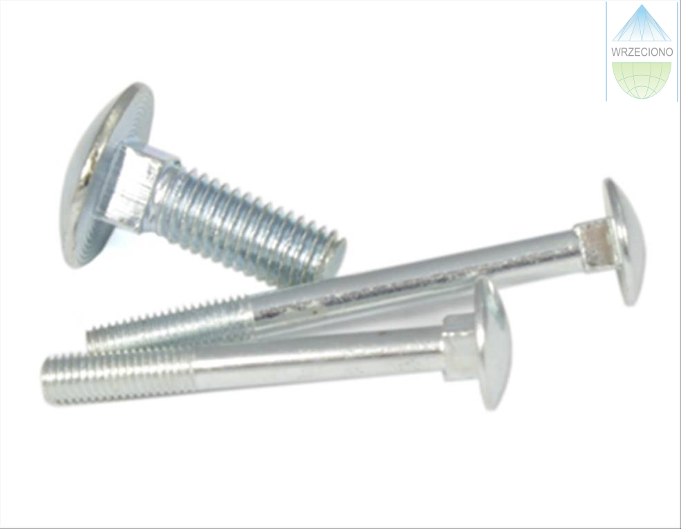 Śruba z łbem kulistym z nakrętką, ocynk biały, M16 x 55,  DIN 603. 